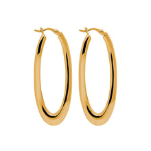 Load image into Gallery viewer, Najo - Basta Yellow Gold Hoop Earrings