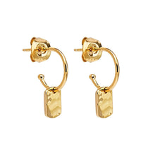 Load image into Gallery viewer, Najo - Tigger Yellow Gold Earrings